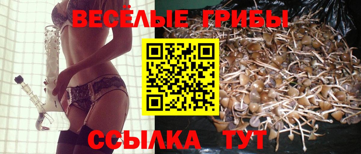 Галлюциногенные грибы GOLDEN TEACHER  Вход с VPN  Стрежевой  продажа наркотиков  Галлюциногенные грибы Cubensis 